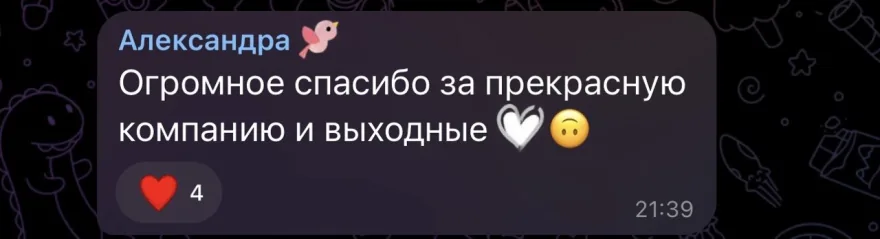 Александра в чате: «Огромное спасибо за прекрасную компанию и выходные». Четыре реакции.